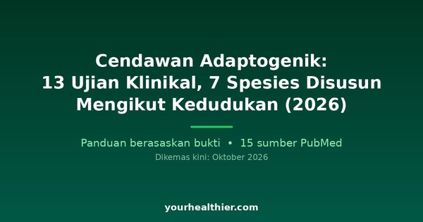 Cendawan Adaptogenik: 13 Ujian Klinikal, 7 Spesies Disusun Mengikut Kedudukan (2026)