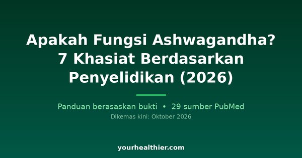 Apakah Fungsi Ashwagandha? 7 Khasiat Berdasarkan Penyelidikan (2026)
