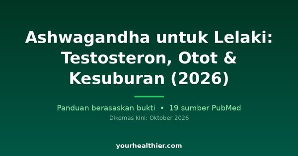 Ashwagandha untuk Lelaki: Testosteron, Otot & Kesuburan (2026)