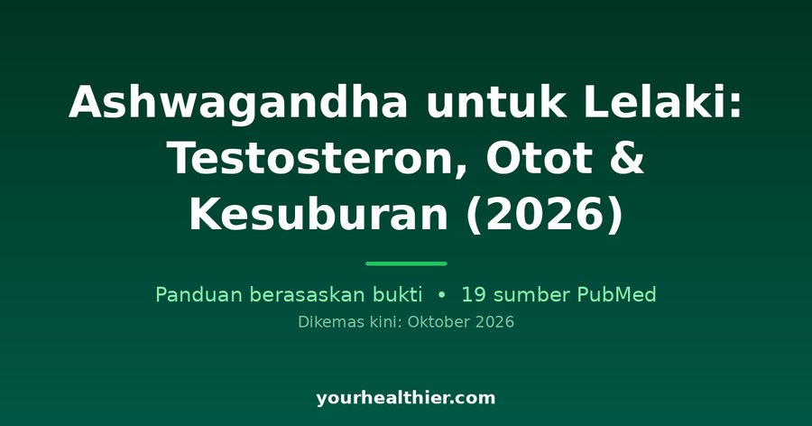 Ashwagandha untuk Lelaki: Testosteron, Otot & Kesuburan (2026)