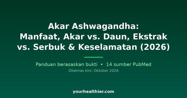 Akar Ashwagandha: Manfaat, Akar vs. Daun, Ekstrak vs. Serbuk & Keselamatan (2026)
