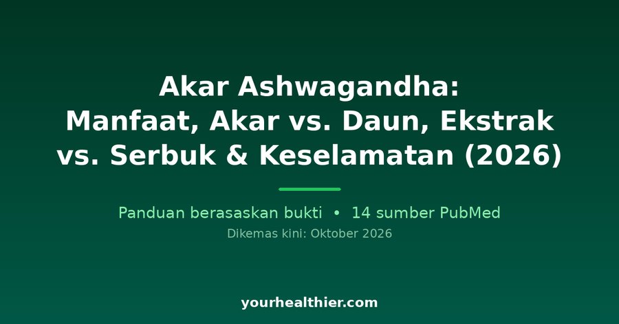 Akar Ashwagandha: Manfaat, Akar vs. Daun, Ekstrak vs. Serbuk & Keselamatan (2026)