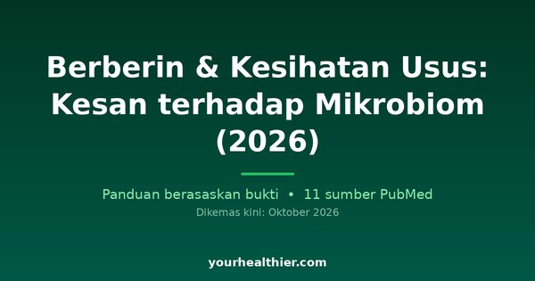 Berberin & Kesihatan Usus: Kesan terhadap Mikrobiom (2026)