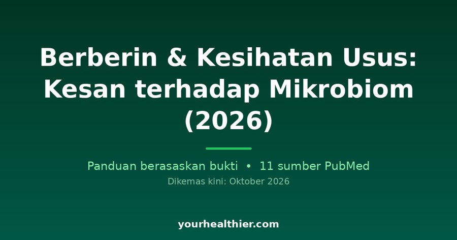 Berberin & Kesihatan Usus: Kesan terhadap Mikrobiom (2026)