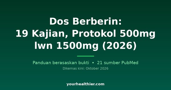Dos Berberin: 19 Kajian, Protokol 500mg lwn 1500mg (2026)