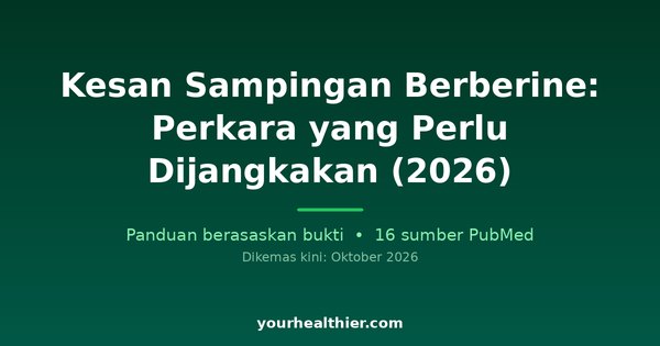Kesan Sampingan Berberine: Perkara yang Perlu Dijangkakan (2026)