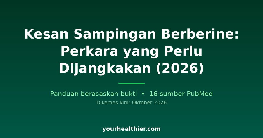 Kesan Sampingan Berberine: Perkara yang Perlu Dijangkakan (2026)