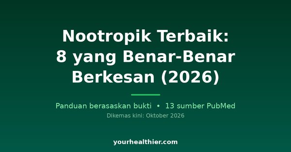 Nootropik Terbaik: 8 yang Benar-Benar Berkesan (2026)