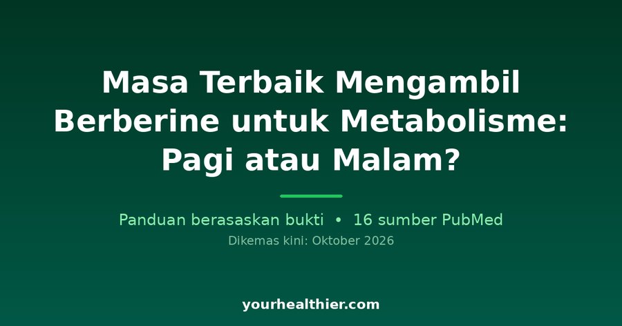 Masa Terbaik Mengambil Berberine untuk Metabolisme: Pagi atau Malam?