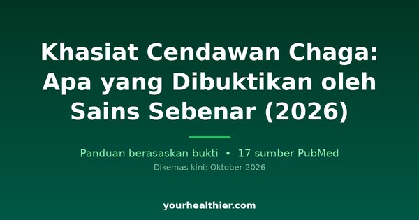 Khasiat Cendawan Chaga: Apa yang Dibuktikan oleh Sains Sebenar (2026)