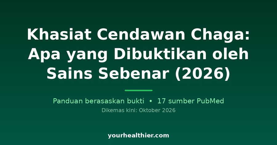 Khasiat Cendawan Chaga: Apa yang Dibuktikan oleh Sains Sebenar (2026)