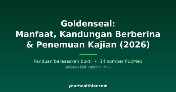 Goldenseal: Manfaat, Kandungan Berberin & Penemuan Kajian (2026)