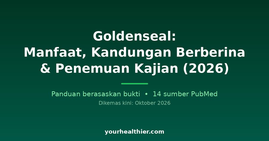 Goldenseal: Manfaat, Kandungan Berberin & Penemuan Kajian (2026)