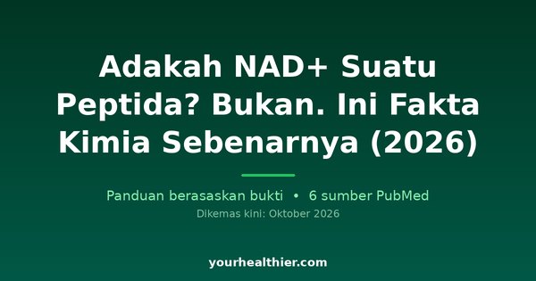 Adakah NAD+ Suatu Peptida? Bukan. Ini Fakta Kimia Sebenarnya (2026)