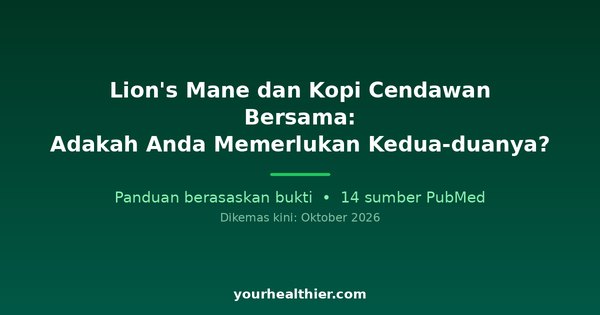 Lion’s Mane dan Kopi Cendawan Bersama: Adakah Anda Memerlukan Kedua-duanya?
