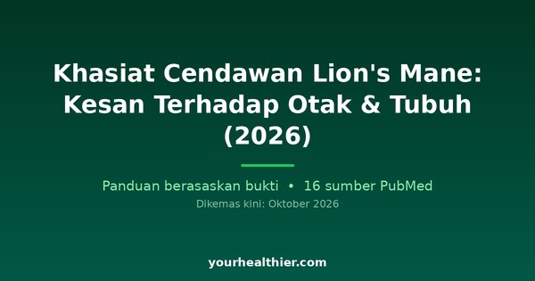 Khasiat Cendawan Lion’s Mane: Kesan Terhadap Otak & Tubuh (2026)