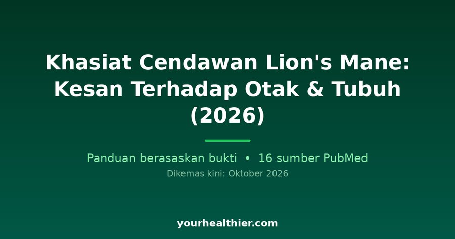 Khasiat Cendawan Lion’s Mane: Kesan Terhadap Otak & Tubuh (2026)