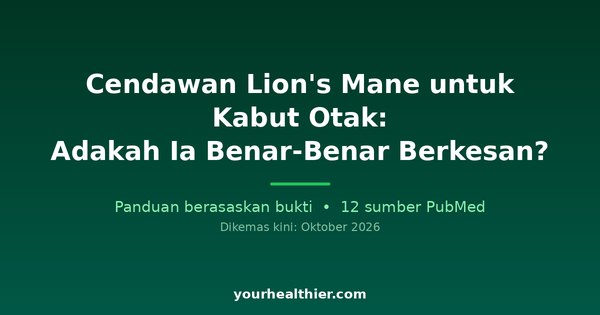 Cendawan Lion’s Mane untuk Kabut Otak: Adakah Ia Benar-Benar Berkesan?