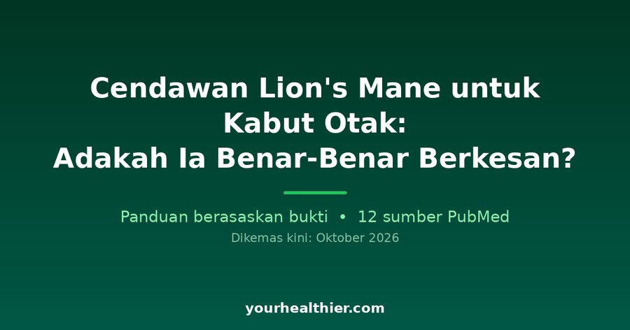 Cendawan Lion’s Mane untuk Kabut Otak: Adakah Ia Benar-Benar Berkesan?