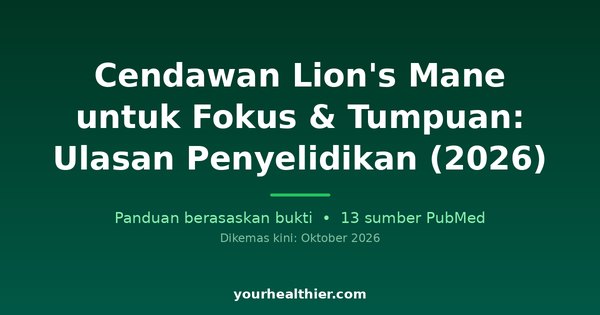 Cendawan Lion’s Mane untuk Fokus & Tumpuan: Ulasan Penyelidikan (2026)