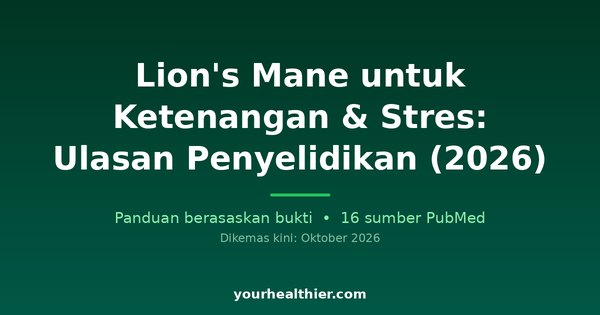 Lion’s Mane untuk Ketenangan & Stres: Ulasan Penyelidikan (2026)
