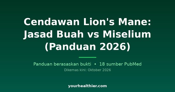 Cendawan Lion’s Mane: Jasad Buah vs Miselium (Panduan 2026)