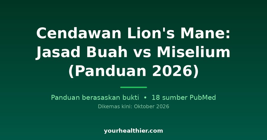 Cendawan Lion’s Mane: Jasad Buah vs Miselium (Panduan 2026)