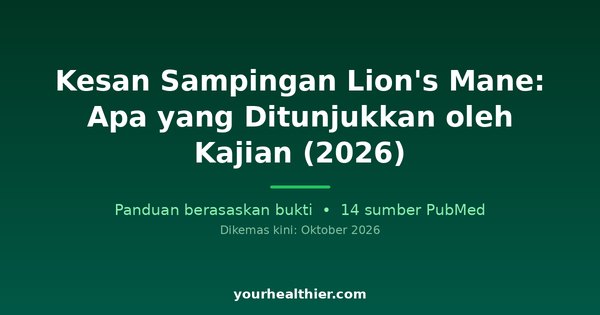 Kesan Sampingan Lion’s Mane: Apa yang Ditunjukkan oleh Kajian (2026)