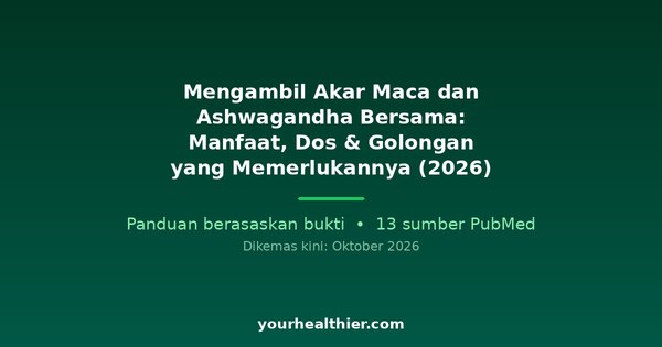 Mengambil Akar Maca dan Ashwagandha Bersama: Manfaat, Dos & Golongan yang Memerlukannya (2026)