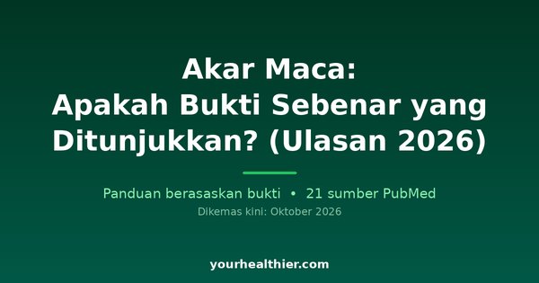 Akar Maca: Apakah Bukti Sebenar yang Ditunjukkan? (Ulasan 2026)