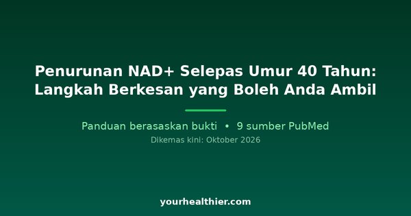 Penurunan NAD+ Selepas Umur 40 Tahun: Langkah Berkesan yang Boleh Anda Ambil