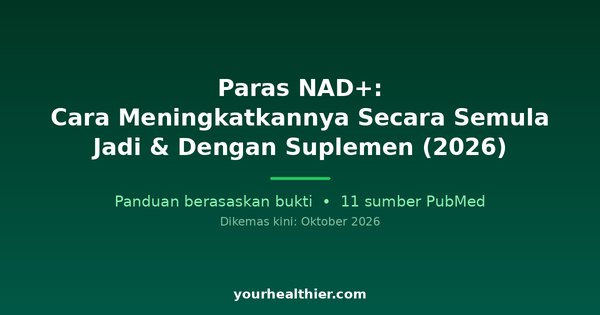 Paras NAD+: Cara Meningkatkannya Secara Semula Jadi & Dengan Suplemen (2026)