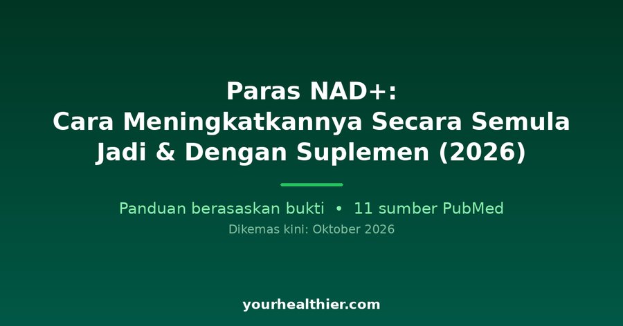 Paras NAD+: Cara Meningkatkannya Secara Semula Jadi & Dengan Suplemen (2026)