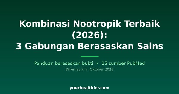 Kombinasi Nootropik Terbaik (2026): 3 Gabungan Berasaskan Sains