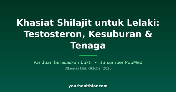 Khasiat Shilajit untuk Lelaki: Testosteron, Kesuburan & Tenaga