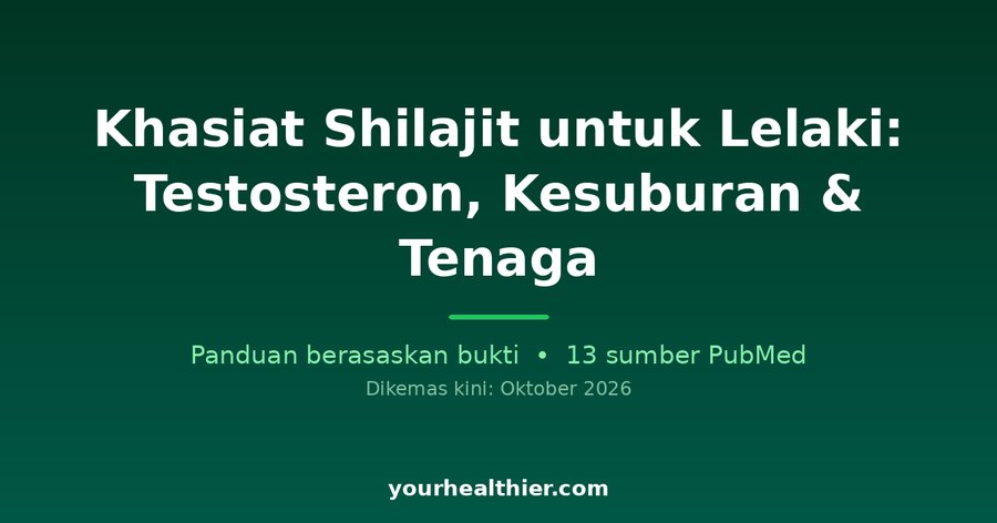 Khasiat Shilajit untuk Lelaki: Testosteron, Kesuburan & Tenaga