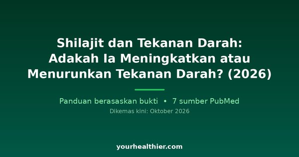 Shilajit dan Tekanan Darah: Adakah Ia Meningkatkan atau Menurunkan Tekanan Darah? (2026)