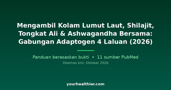 Mengambil Kolam Lumut Laut, Shilajit, Tongkat Ali & Ashwagandha Bersama: Gabungan Adaptogen 4 Laluan (2026)