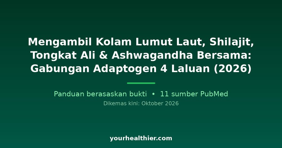 Mengambil Kolam Lumut Laut, Shilajit, Tongkat Ali & Ashwagandha Bersama: Gabungan Adaptogen 4 Laluan (2026)