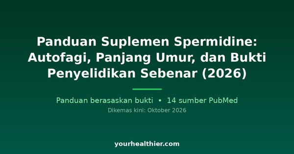 Panduan Suplemen Spermidine: Autofagi, Panjang Umur, dan Bukti Penyelidikan Sebenar (2026)