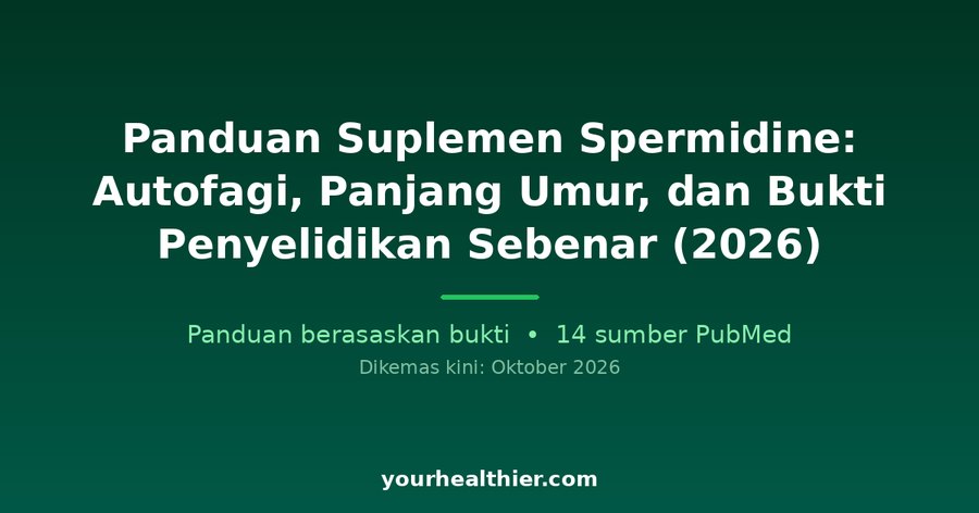 Panduan Suplemen Spermidine: Autofagi, Panjang Umur, dan Bukti Penyelidikan Sebenar (2026)