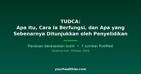 TUDCA: Apa Itu, Cara Ia Berfungsi, dan Apa yang Sebenarnya Ditunjukkan oleh Penyelidikan