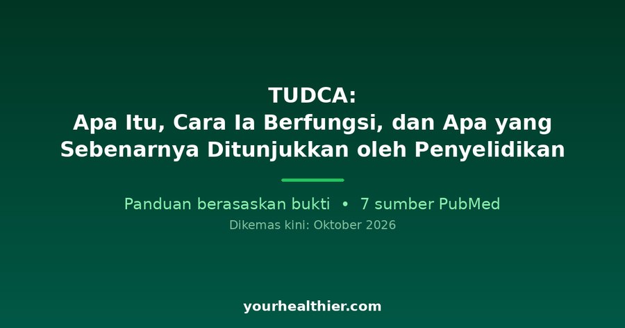 TUDCA: Apa Itu, Cara Ia Berfungsi, dan Apa yang Sebenarnya Ditunjukkan oleh Penyelidikan