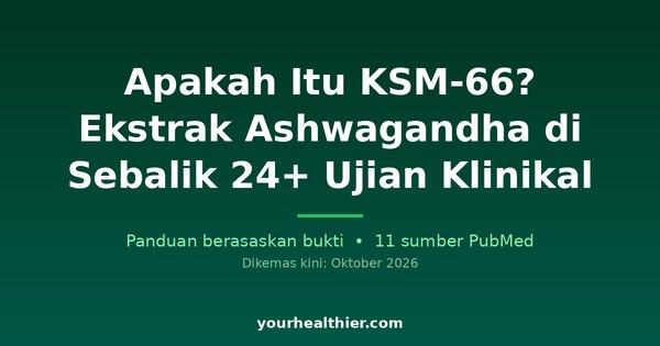 Apakah Itu KSM-66? Ekstrak Ashwagandha di Sebalik 24+ Ujian Klinikal