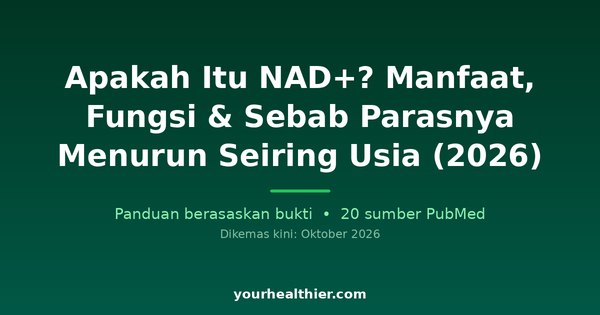 Apakah Itu NAD+? Manfaat, Fungsi & Sebab Parasnya Menurun Seiring Usia (2026)