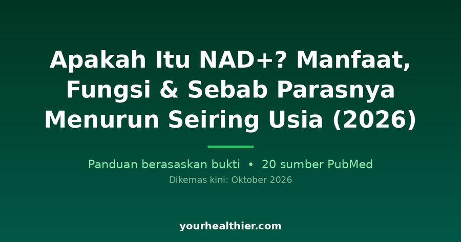 Apakah Itu NAD+? Manfaat, Fungsi & Sebab Parasnya Menurun Seiring Usia (2026)