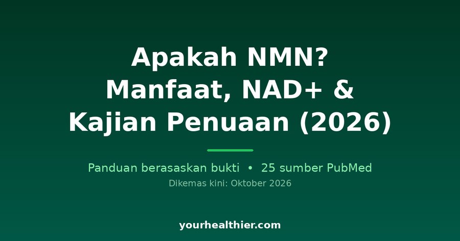 Apakah NMN? Manfaat, NAD+ & Kajian Penuaan (2026)